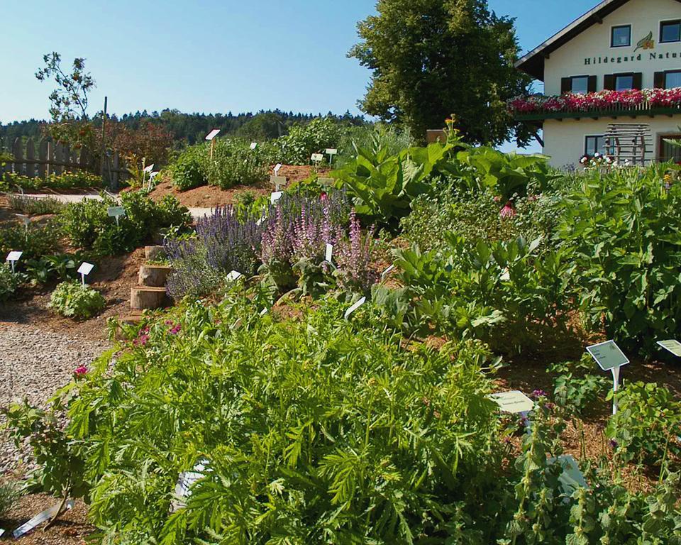 Hildegard Naturhaus Kirchberg bei Mattighofen 외부 사진